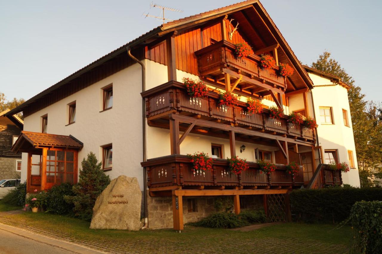 Haus Haidweg - Ferienwohnungen In Haidmuehle Im Dreilaendereck De-Cz-At Exterior photo